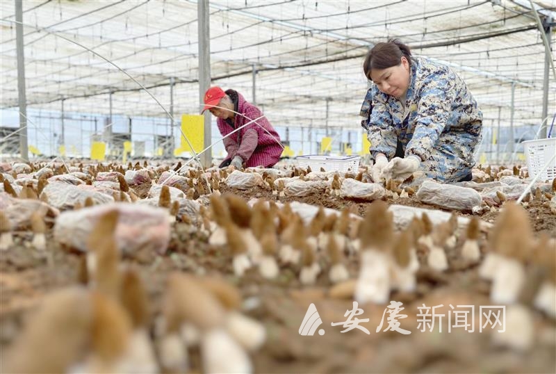 1003128515821347.jpg 14 拷贝.jpg