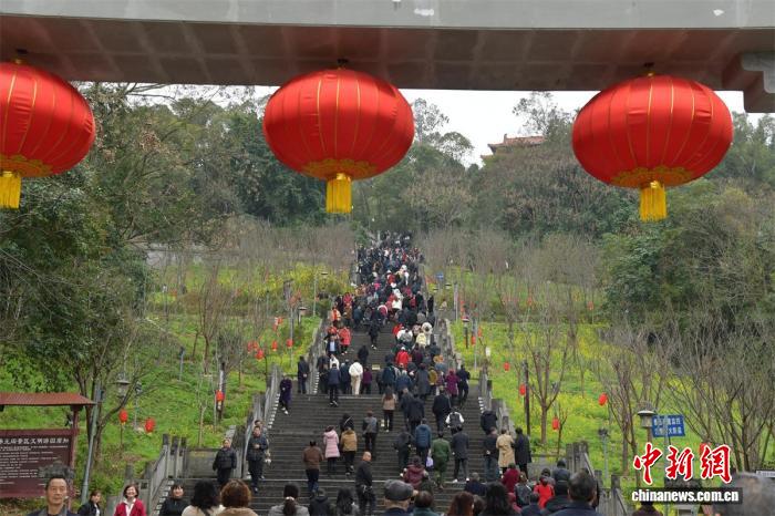 0847191263128869.jpg 1.jpg