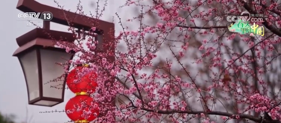 1545213376895823.jpg 5.jpg