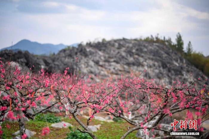 0842201006805073.jpeg 119.jpeg