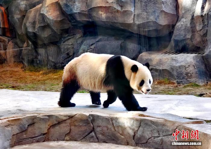 0826185679975790.jpg 1.jpg