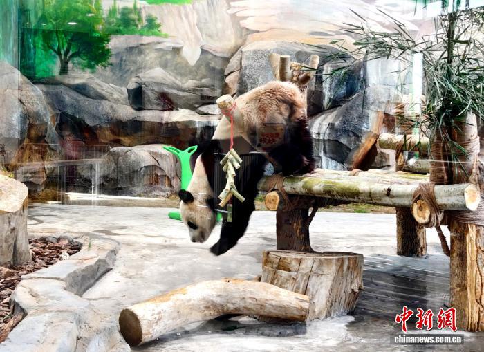 0826403313723528.jpg 3.jpg