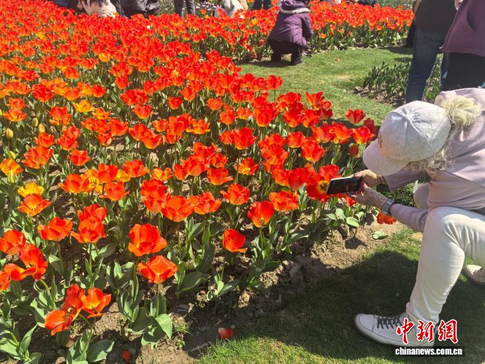 0901411592833438.jpg 2.jpg