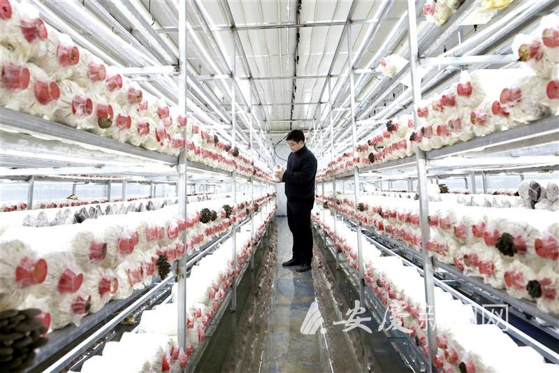 1048223660742539.jpg 14.jpg