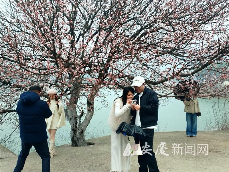 1005275811065003.jpg 14.jpg