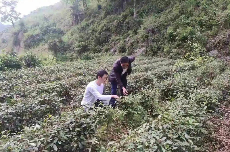 1508412272254574.jpg 14.jpg