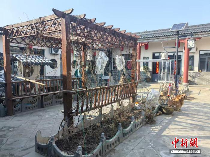 0833046230650377.jpg 6.jpg