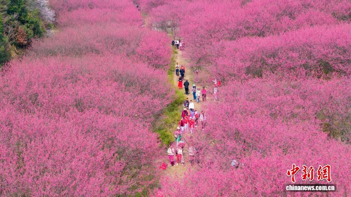 0835233294266933.jpg 1.jpg