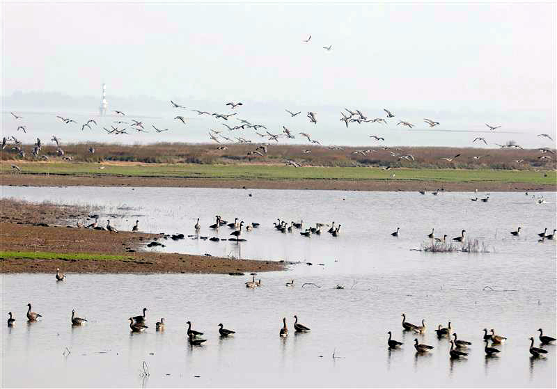 0949373321357244.jpg 14.jpg