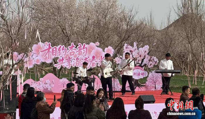 0856432134242594.jpg 1.jpg