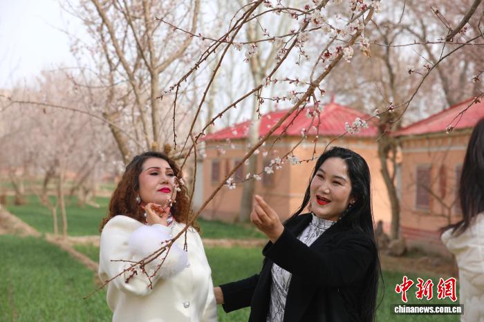 0856539631482270.jpg 2.jpg