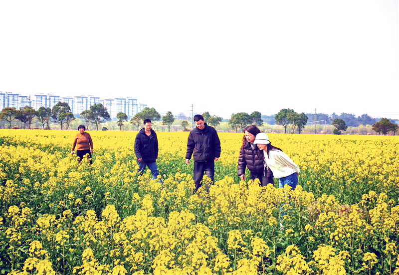 1039486602188345.jpg 14.jpg