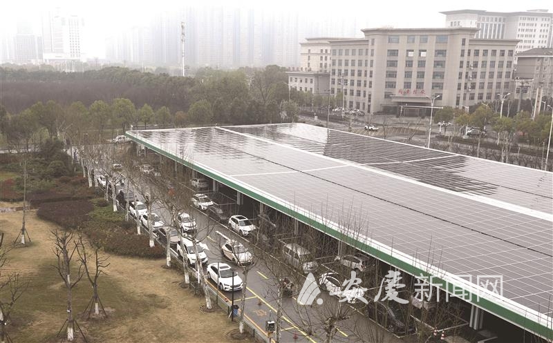 0846309769305368.jpg 14.jpg