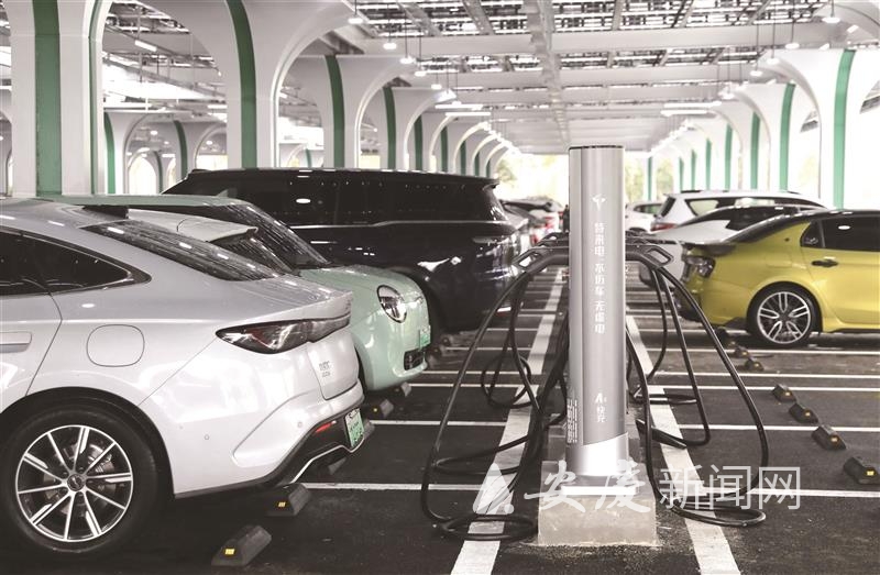 0847372975422009.jpg 14.jpg