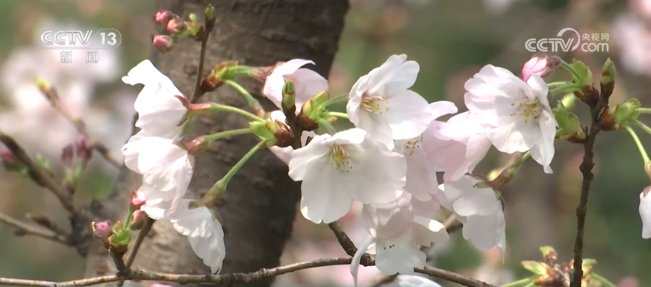 0922143690900328.jpg 7.jpg