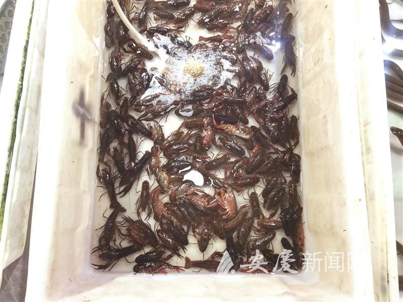 1013535803185772.jpg 14.jpg