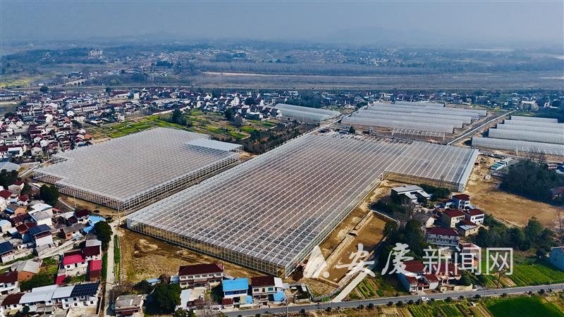 0911141617810983.jpg 14.jpg