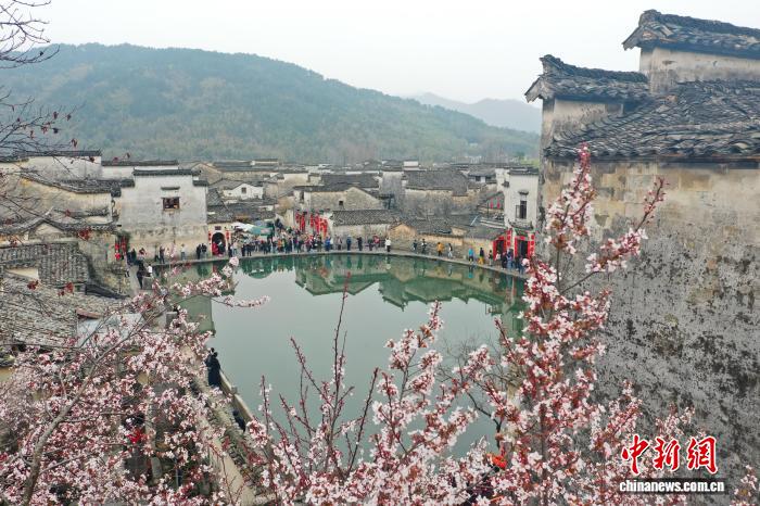 0911234762699022.jpg 1.jpg