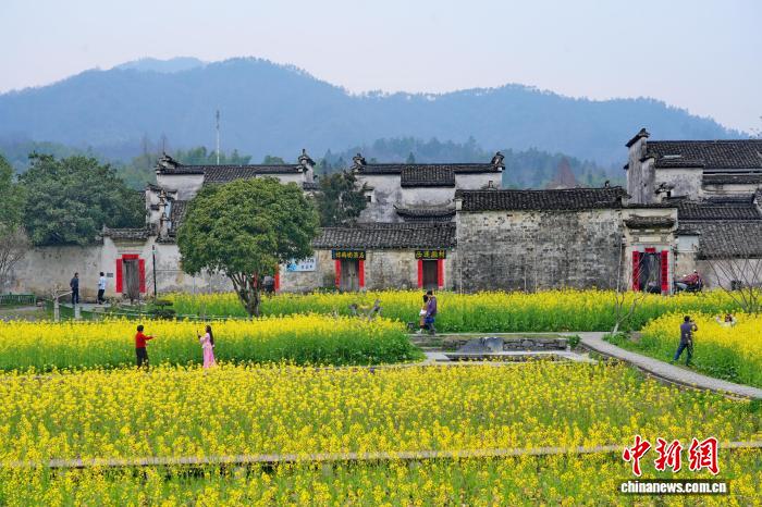 0911486358821691.jpg 3.jpg