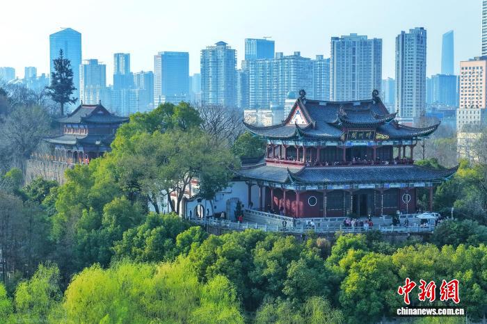 0915525352480836.jpg 7.jpg