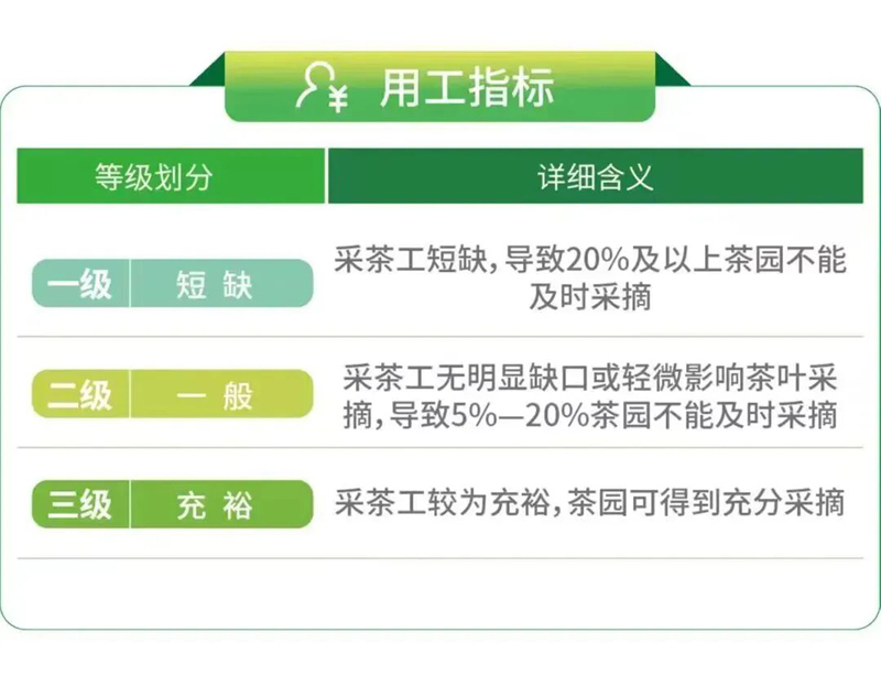 1607151005957840.jpg 14.jpg