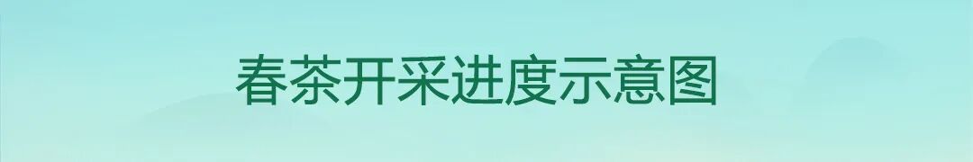 1608318661248573.jpg 14.jpg