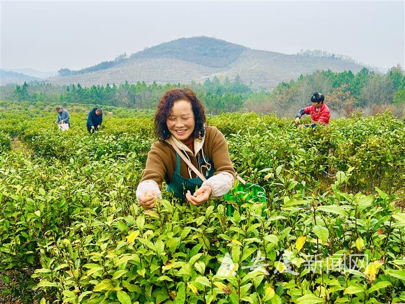 0939355095695300.jpg 14.jpg