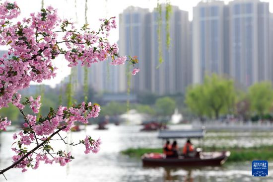 0859552678886983.jpg 4.jpg