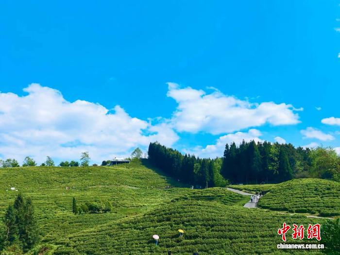 0844361274029622.jpeg 112.jpeg