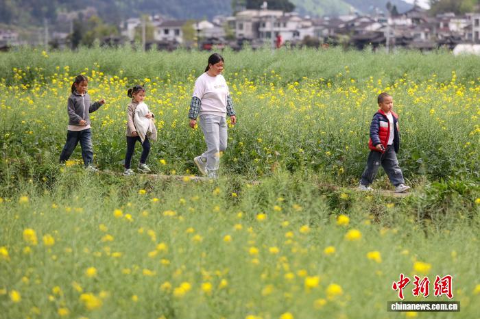 0844451682305928.jpeg 111.jpeg