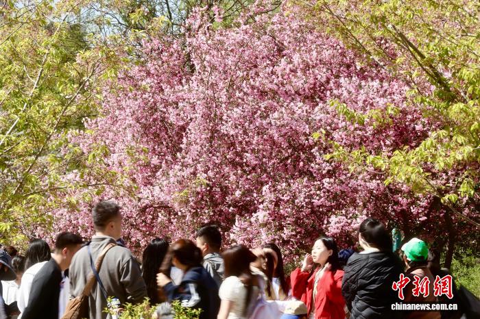 0844558617220736.jpg 6.jpg