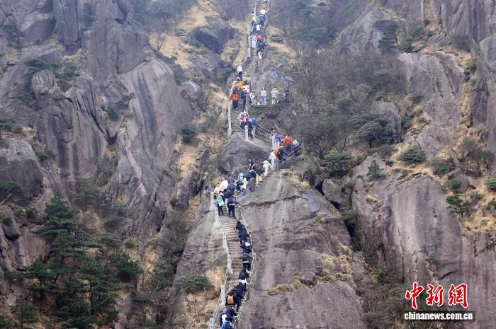 0858542513340056.jpg 7.jpg