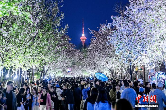 0935513801944177.jpg 1.jpg