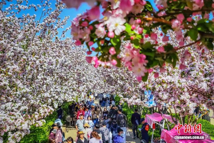 0936085311137406.jpg 2.jpg