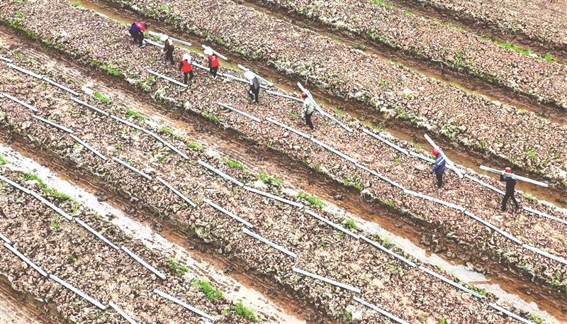 1025081470325026.jpg 14.jpg