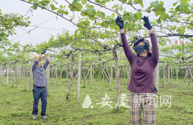 1020019323770297.png 微信图片_20260411093929_240_65.png