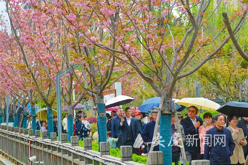 0944527163336278.jpg 14.jpg