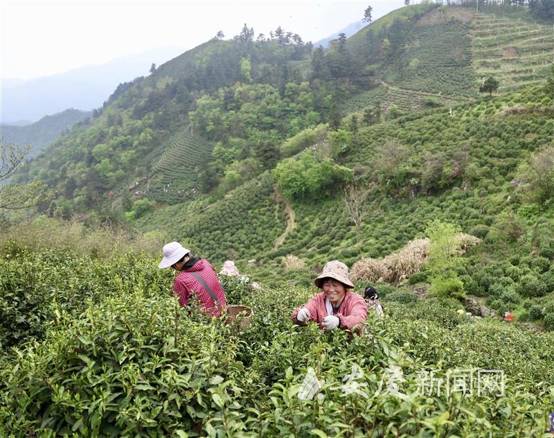 1012136413751673.jpg 13.jpg